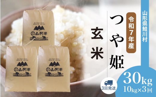 ＜令和7年産米＞ 特別栽培米 つや姫 【玄米】 30kg定期便 （10kg×3回発送）＜配送時期選べます＞　山形県鮭川村