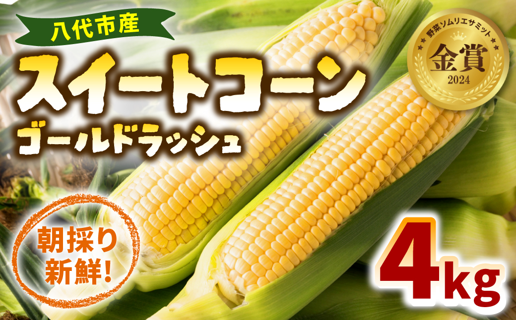 熊本県八代市産 スイートコーン ゴールドラッシュ 4kg とうもろこし 朝採り 高糖度