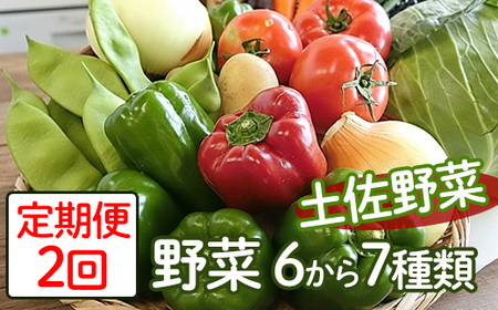 【定期便/計2回】安芸野菜（6、7種）【野菜】AD012