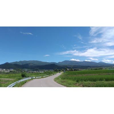 ふるさと納税 長野県 信濃くるみ【長野県東御市産ブランド】1kg(大粒) 殻付き 令和7年産 新物【国産】 |  | 03