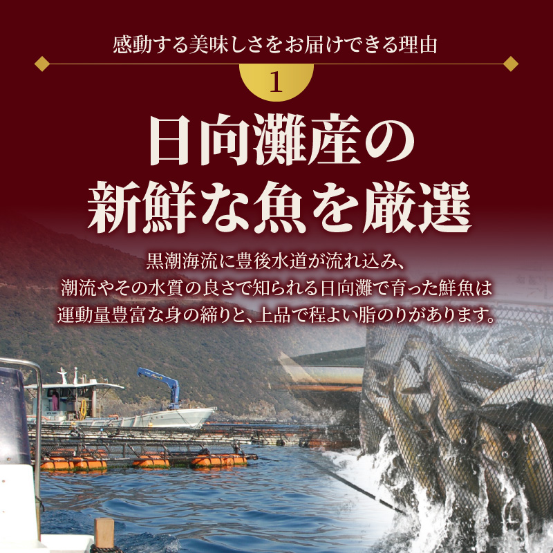 【お楽しみ定期便】延岡産活〆鮮魚の豪華お刺身（12ヶ月定期便）請関水産　N019-ZG0104