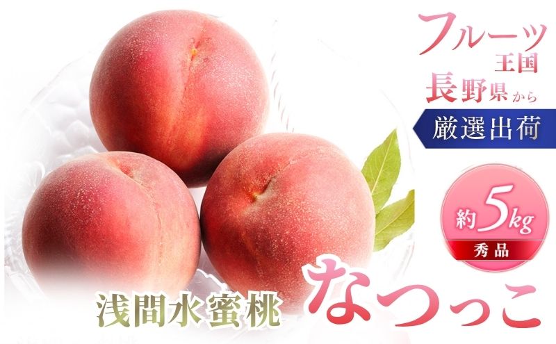 桃 先行予約 浅間水蜜桃 なつっこ 約5kg 秀品 フルーツ 果物 白桃 甘い 冷蔵