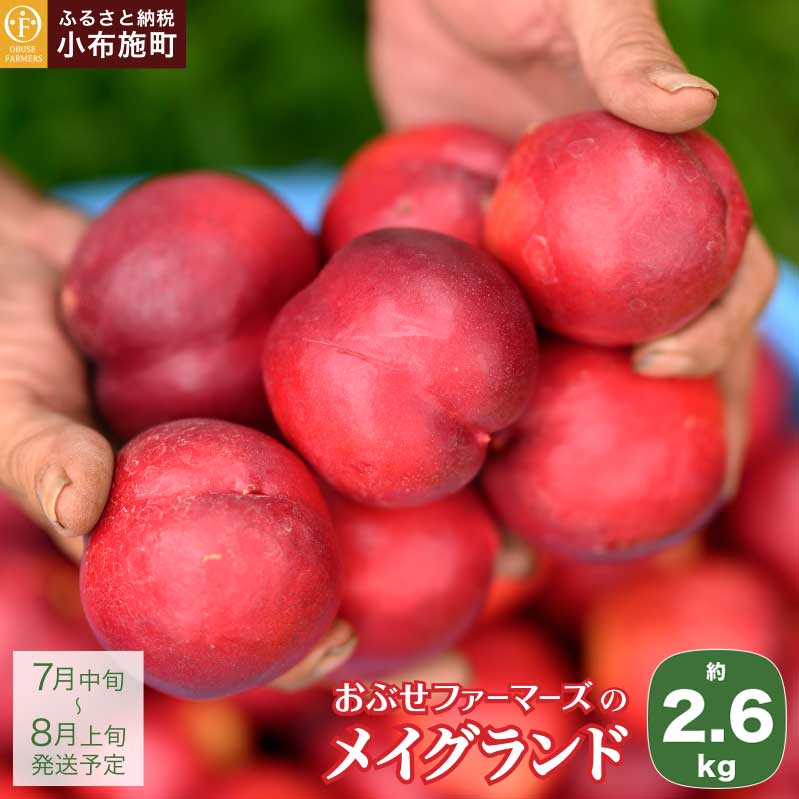 【ふるさと納税】メイグランド 約2.6kg ［おぶせファーマーズ］先行予約 ネクタリン 果物 フルーツ 桃 もも 冷蔵便 クール便 長野県産 信州産 送料無料 令和7年産【2025年7月中旬〜8月上旬発送】