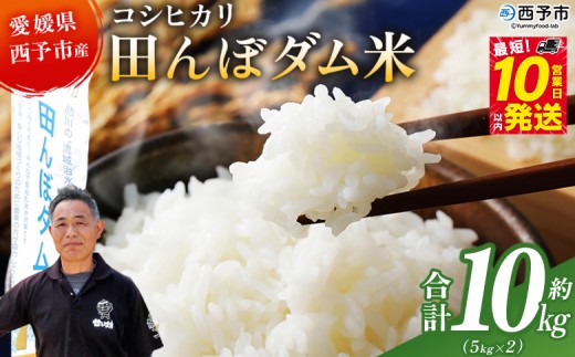 ＜令和7年産 愛媛県西予市産 コシヒカリ 田んぼダム米 10kg＞ ※最短10営業日以内に順次発送予定 10キロ こしひかり 西予応援米 宇和米 お米 コメ こめ 白米 精米 米 国産 愛媛県産 宇和町産 和みファーム 愛媛県 西予市【常温】