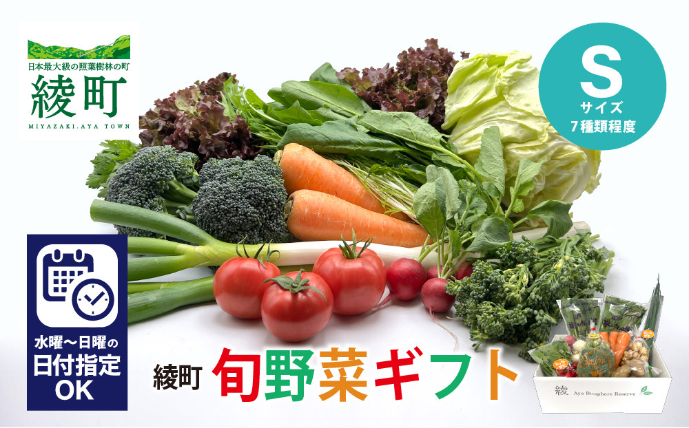 
綾町旬野菜ギフト（Sサイズ）無農薬 減農薬 栽培期間中 新鮮 産地直送_04-88
