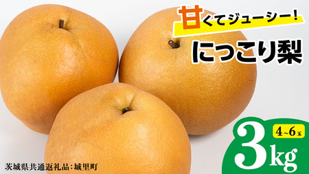 にっこり梨 約3kg 4玉～6玉 (茨城県共通返礼品:城里町) [CO001sa]