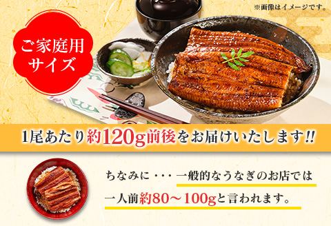＜ご家庭用＞うなぎ 鰻楽 国産 蒲焼 2尾 計240g以上（120g×2尾）おすすめ 冷凍 簡単調理 個包装 鰻 魚介【B666】