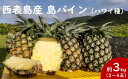 【ふるさと納税】2024年 先行予約 島パイン (ハワイ種) 約3kg 2～4玉 パイナップルの王道 西表島産 パイン 果物 フルーツ　【竹富町】　お届け：2024年6月中旬～7月下旬（収穫でき次第順次発送）