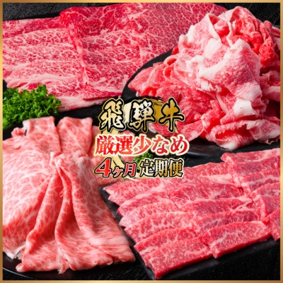 
                  ＜毎月定期便＞飛騨牛　厳選少なめ定期便　計1.3kg　カルビ・赤身(焼肉・BBQ用)ロース全4回【4075147】
                
