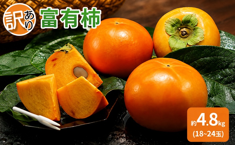 訳あり 柿 富有柿 約4.8kg 18～24玉 配送不可 離島 果物 フルーツ 秋の味覚 旬 デザート 果実 柿の王様 甘柿 代表品種 朝倉の柿 おやつ 