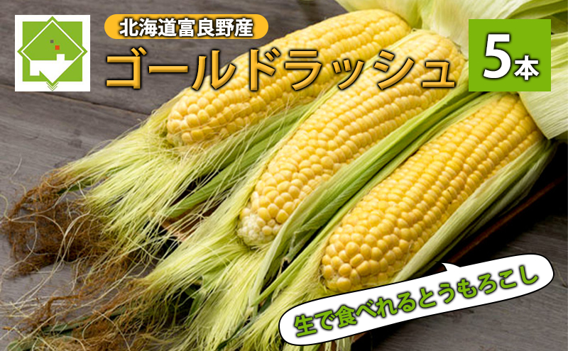 【2025年8月～発送】生で食べられる！トウモウロコシ 北海道 富良野産 ゴールドラッシュ 5本 とうもろこし とうきび 野菜 新鮮 ふらの 産地直送 お試し サイズ