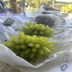 贅沢極旨ぶどうのセット　4種7房詰め合わせ