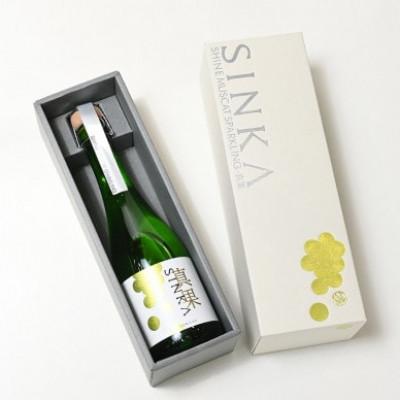 ふるさと納税 笛吹市 SINKA-真果-(シャインマスカット スパークリングワイン)2本セット |  | 01