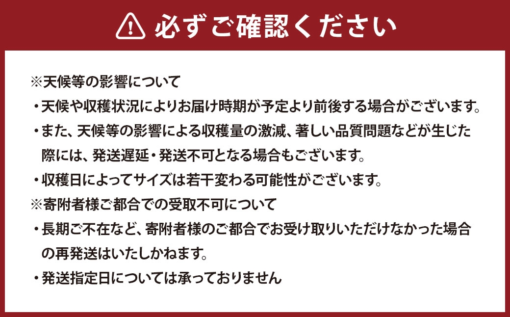 スイカ肥後漫遊2Lサイズ（1玉）