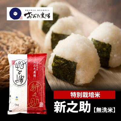 ふるさと納税 上越市 【令和7年産　2025年10月より順次発送】特別栽培米新之助【無洗米】5kg×1袋　新潟県上越産