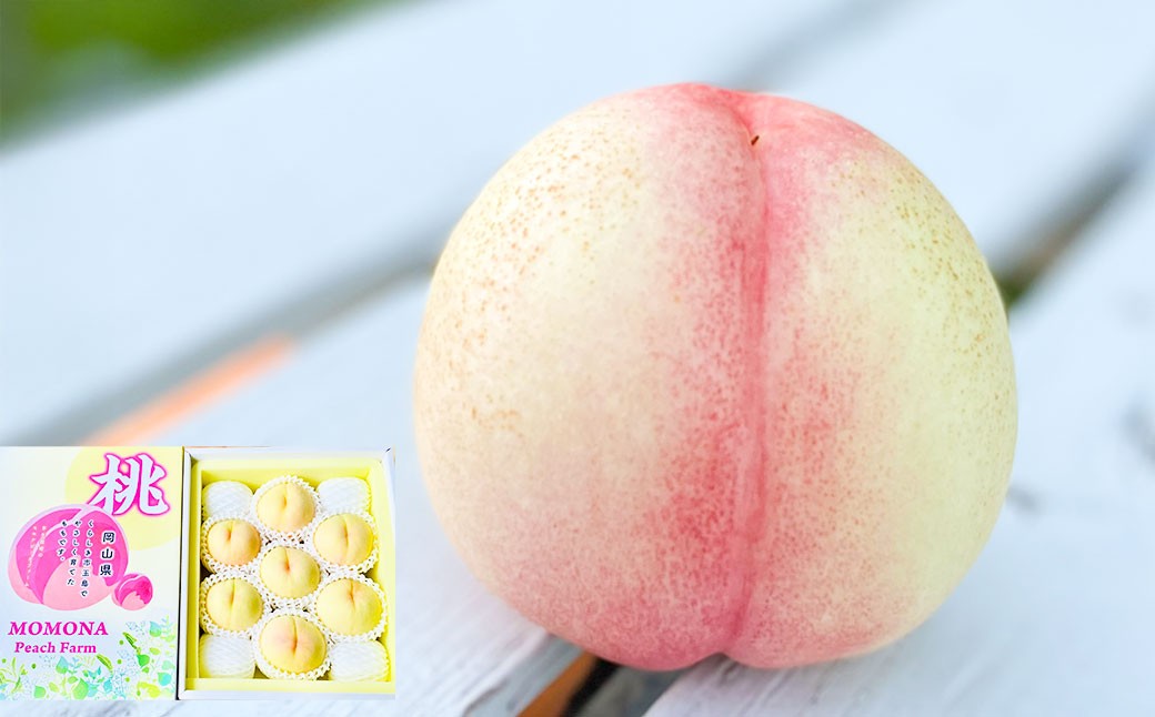 
                  モモナピーチファームの桃 2.0kg（7～9玉） 【2026年7月上旬～8月下旬迄発送予定】／ 桃 もも モモ ピーチ 白桃 はくとう 清水白桃 白鳳 恋みらい 旬の桃 果物 くだもの フルーツ 果実 デザート
                