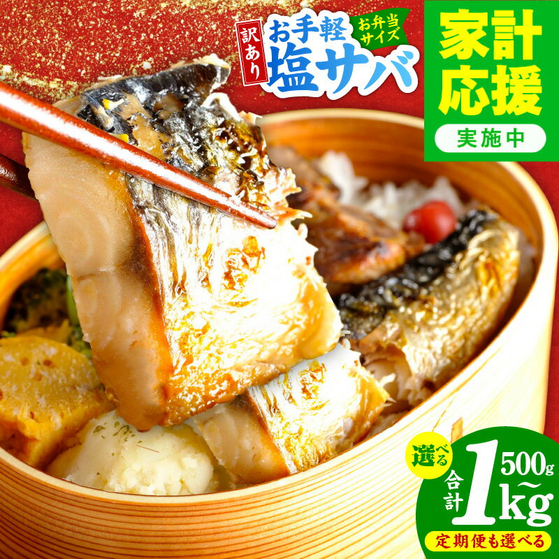 【ふるさと納税】【家計応援企画実施中!】 塩サバ お弁当 小分け 選べる 500g / 1kg 定期便 ノルウェー産 脂のり抜群 小分けパック 保存便利 魚 青魚 焼き魚 おかず 朝食 冷凍 魚介類 切身 混ぜご飯 お茶漬け 定番おかず 晩酌の肴 訳あり 大阪府 泉佐野市 送料無料