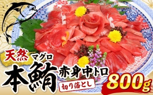 天然本マグロ 中とろ 赤身 切り落とし 800g 小分け(100g×8パック) 訳あり マグロ 刺身 カルパッチョ まぐろ丼 まぐろ漬け丼 魚 惣菜 海鮮丼 魚介類 食べきりサイズ 冷凍 不揃い