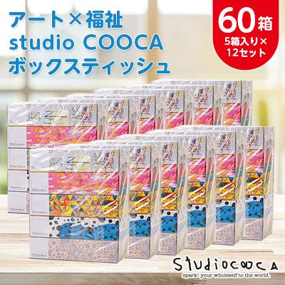 ふるさと納税 小山市 アートパッケージボックスティッシュ60箱【5箱入り×12セット】【1箱150組(300枚)】