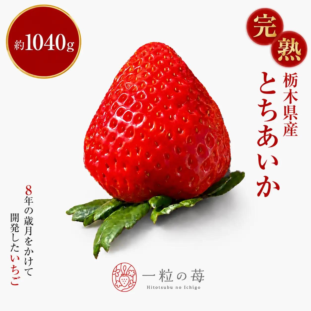 【先行予約】完熟いちご とちあいか 1040g