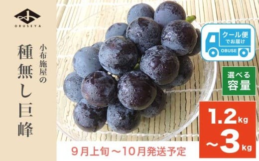 
            長野県産 種無し巨峰 約1.2kg 約1.8kg 約3kg 選べる内容量 ［小布施屋］ 果物 フルーツ ぶどう 葡萄  種無し 種なし 令和7年産【2025年9月上旬～10月発送】 
          