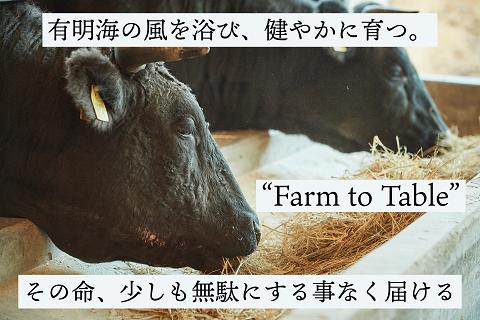 【牧場直送】佐賀産黒毛和牛　すきやき用スライス500g：B190-012