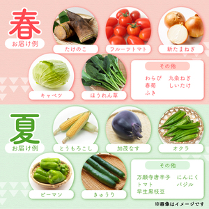 【6回定期便】 野菜セット 4~12種類 詰め合せ 季節の野菜 旬の野菜