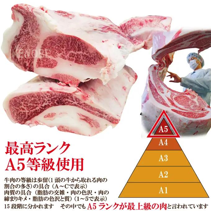 牛肉 切り落し 計1kg  [500g×2パック]  国産 霜降り すき焼き 常陸牛 A5等級 【ho1561-1】