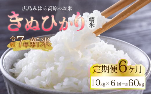 令和7年新米【6か月定期便】きぬひかり 白米（精米）10kg お米 米 白米 ごはん ご飯 広島県 三原市 220020