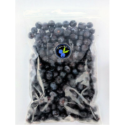 【ふるさと納税】【令和8年8月以降出荷】【北海道十勝産 希少品種】冷凍ブルーベリー500g×6袋【配送不可地域：離島】【1677078】