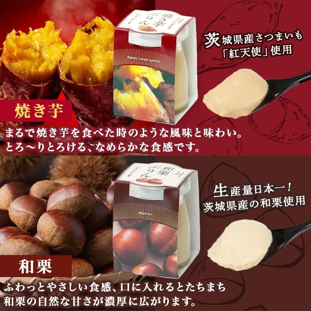 無地熨斗 ゴールドぷりん ＆ 焼き芋ぷりん ＆ 和栗ぷりん 各2個 計6個 つくばぷりん プリン ぷりん 焼き芋 焼きいも 焼きイモ いも 和栗 くり クリ 栗 スイーツ 洋菓子 おやつ 和スイーツ 