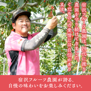 【宿沢フルーツ農園】プラム『太陽』(9～12玉)【2024年発送】（SF）B-194