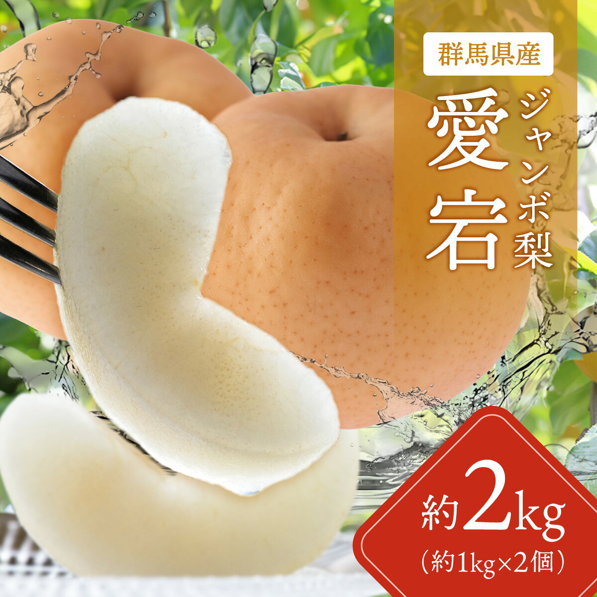 【ふるさと納税】【先行予約】群馬県産ジャンボ梨「愛宕」2個(1個あたり約1.0～1.1kg)【11月中旬～12月下旬発送予定】【 ふるさと納税 人気 おすすめ ランキングなし 梨 ギフト 贈り物 群馬県 安中市 送料無料 】ANAH001