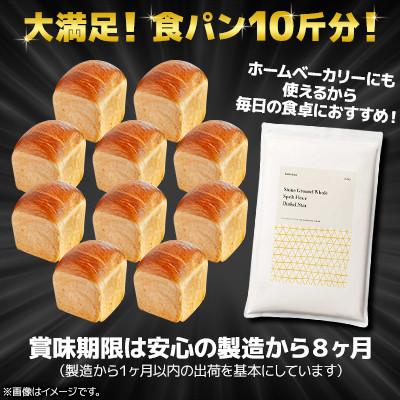 ふるさと納税 室蘭市 【毎月定期便】北海道産 スペルト小麦全粒粉 ディンケルスター 2.5kg全2回 |  | 01