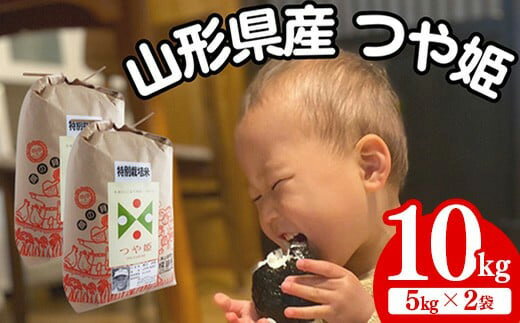 【ふるさと納税】生産者の顔が見える米　特別栽培米 つや姫　白米 10kg（飯豊町産）(R7年産）
