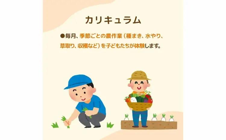 不登校児童生徒の農業体験（5回） 〈 学び 食育 収穫体験 農業体験 体験 収穫 野菜 子供 親子 農作物 ふるさと納税 柏 〉