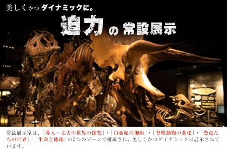 熊本県御船町 御船町恐竜博物館観覧チケット（大人3名様） 《30日以内に出荷予定(土日祝除く)》 御船町恐竜博物館