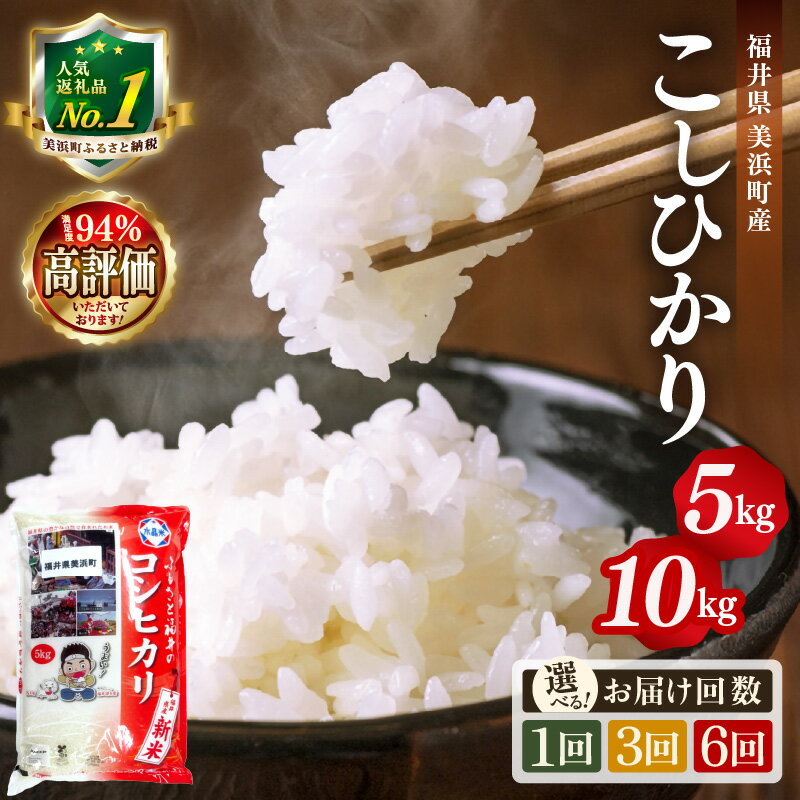 米 令和5年産 コシヒカリ 5kg × 1袋 精米 福井県美浜町産 【単発便（月選択可）または定期便】 [m60-a001]
