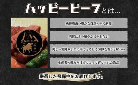 飛騨牛 A5等級 赤身 もも肉 焼肉 200g  | 飛騨牛 ブランド牛 Ａ5ランク 焼肉 ハッピープラス 飛騨高山 JQ012VC13