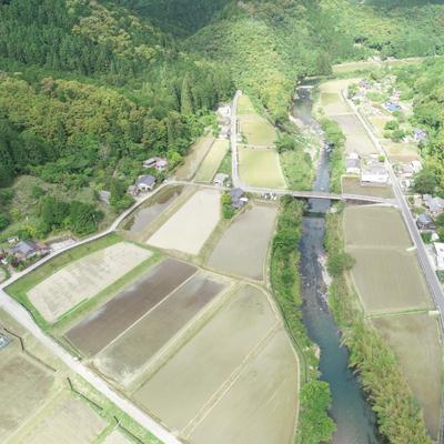 ふるさと納税 四万十市 【令和7年産新米・数量限定】四万十の山間地域で育てた大宮米(ヒノヒカリ)10kg |  | 03
