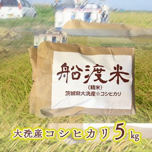 令和7年産 米 コシヒカリ 5kg 舟渡米 _AZ005