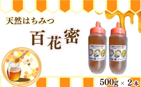 天然はちみつ「百花蜜」1kg （500g × 2本） ボトル はちみつ はちみつ はちみつ
