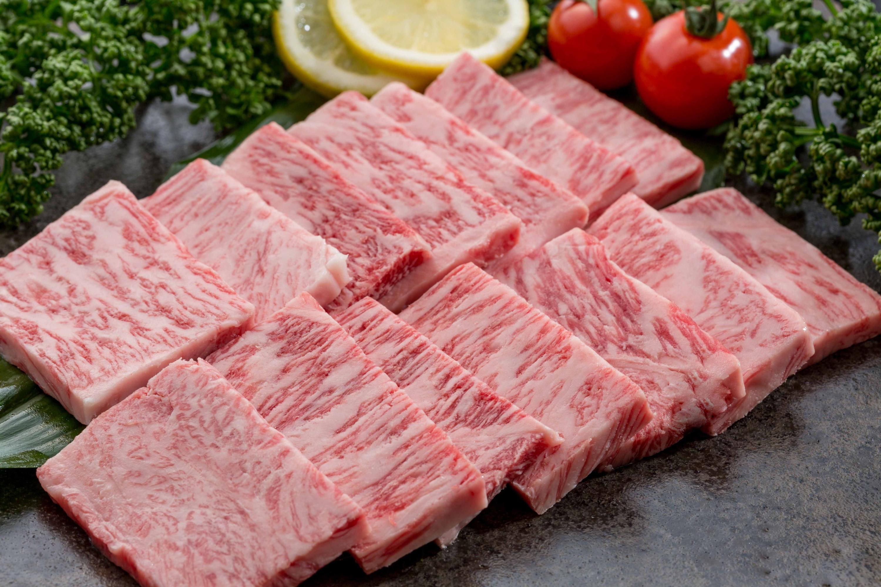 【発送月固定 定期便】肉の定期便 ！ 厳選 佐賀牛 隔月お届け（奇数月）全6回 999-J1169
