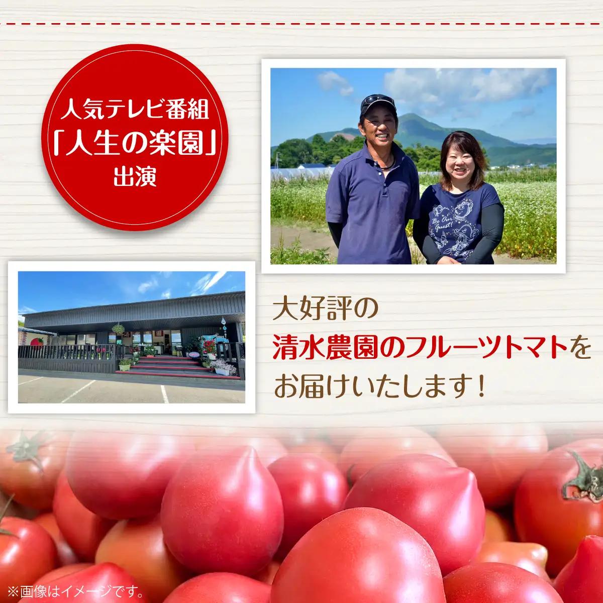 ＜2026年6月下旬よりお届け＞高糖度フルーツトマト　20玉以上【農園直送】北海道壮瞥産 SBTO003