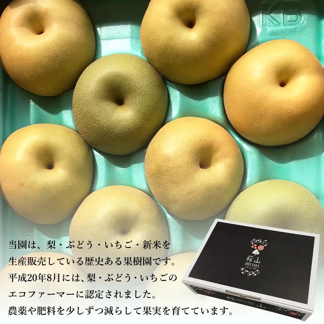 【 先行予約 】茨城県産 梨 南水 約3kg 7玉～9玉 ( 茨城県共通返礼品 : 常陸太田市 )【 2026年 9月中旬頃より発送 】