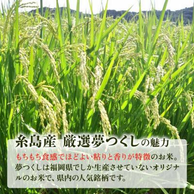 ふるさと納税 糸島市 【令和7年産新米】いとし米 厳選夢つくし 2kg (糸島産) 糸島市/三島商店 [AIM062] |  | 03