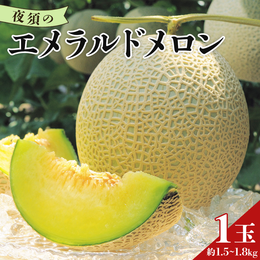 メロン エメラルドメロン 1玉 1万円以上 10000円以上 