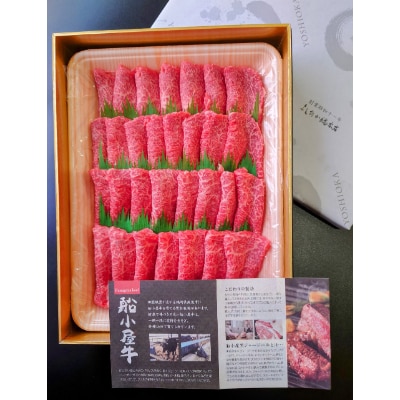 [筑後]船小屋牛赤身焼肉(モモ)　500g【配送不可地域：離島】