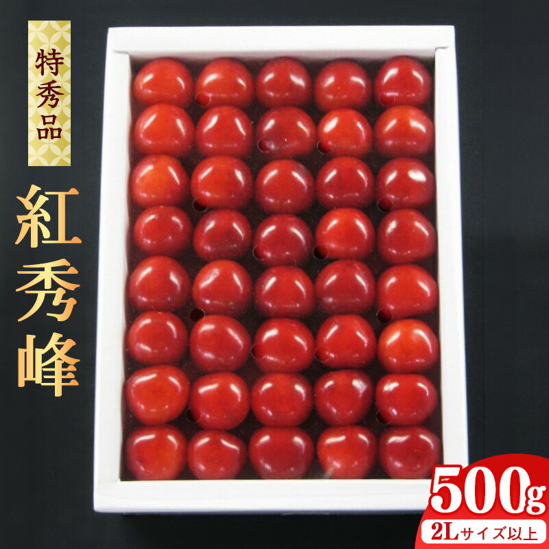 【ふるさと納税】 《先行予約》 令和8年産 【厳選】 さくらんぼ 「 紅秀峰 」 500g 特秀品 2L以上 化粧詰 2026年産 山形産 【2026年6月中旬頃〜7月上旬頃発送予定】 ※配送不可 沖縄・離島お取り寄せ フルーツ 果物 果実 くだもの サクランボ 農協 寒河江 JAさがえ西村山