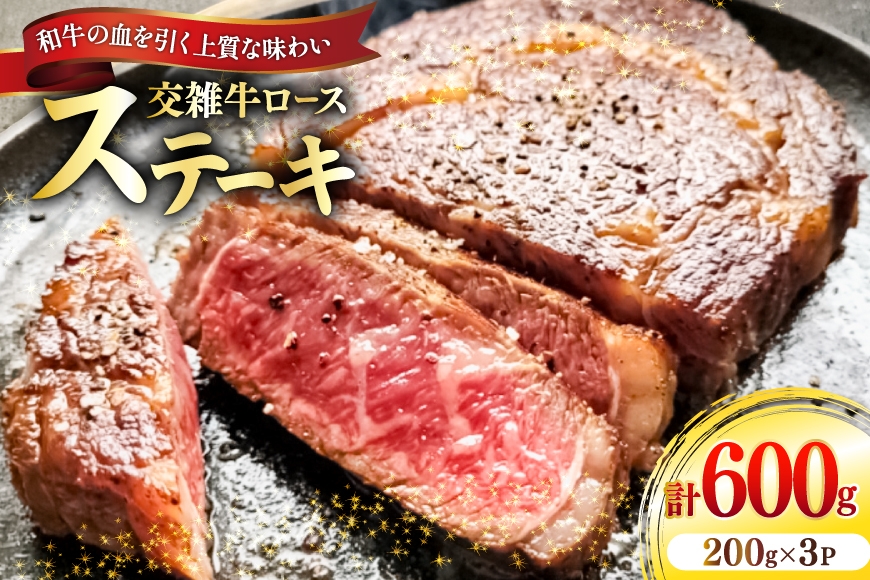 
                  牛肉 国産交雑牛ロース ステーキ 200g 3パック 計600g [​​ユーエイエム 愛知県 江南市 ko23btu600023] ロース 和牛 国産牛 牛ロース 霜降り 赤身 真空パック 個包装 小分け 冷凍 BBQ バーベキュー 焼肉
                